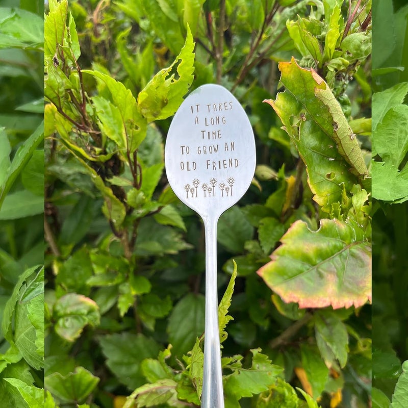 PLWalker Garden Friendship Gift for Women Gardeners, Plant Marker Stake Label Sign Tag, Gardening Gifts for Woman Plant Lovers, Metal Garden Decoration (Grow an Old Friend-B) - Image 4